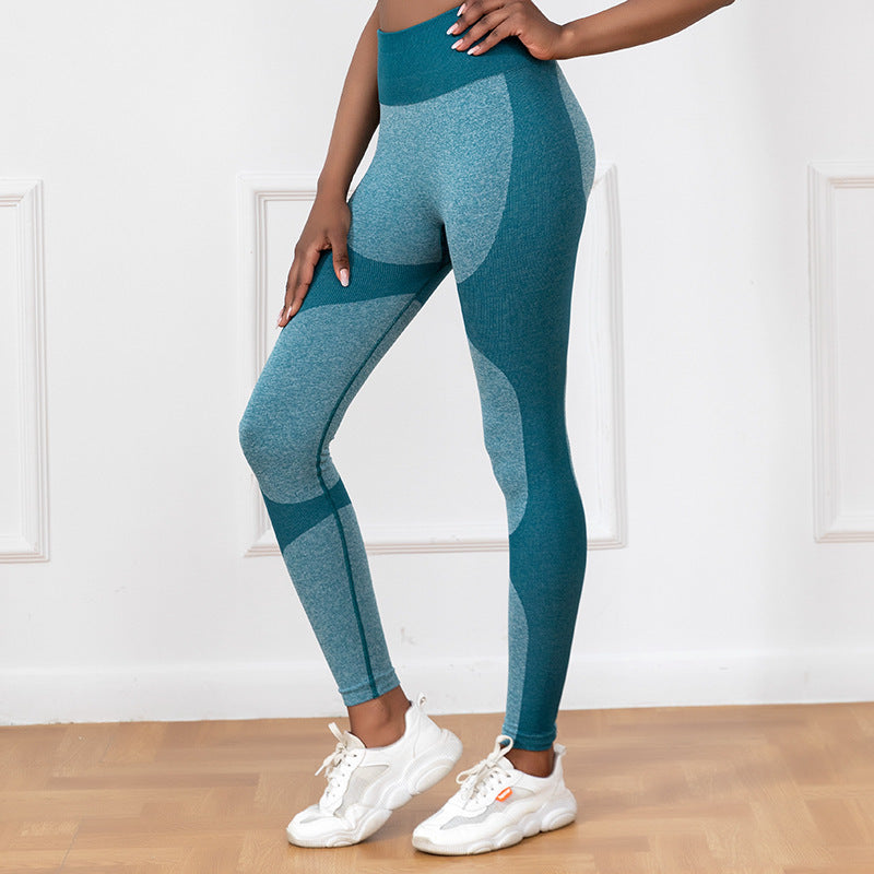 Running Sports Fitness Pant Green